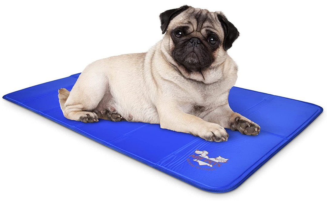 What is a Dog Cooling Mat and Do You Need One?