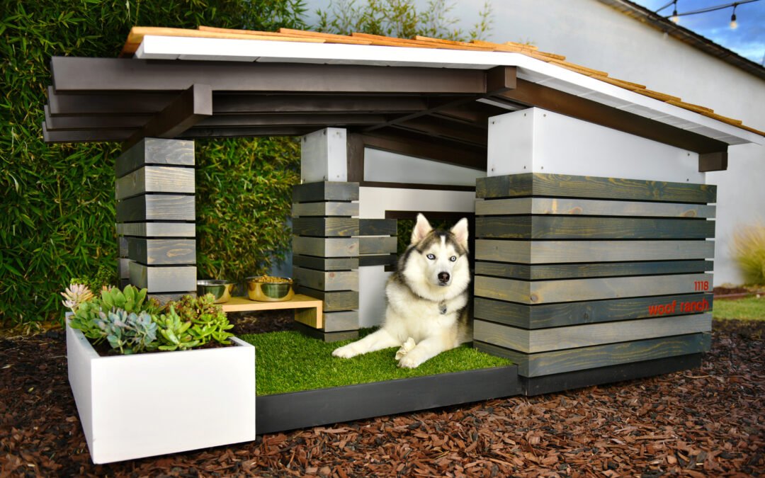 Advantages of Buying a Dog House