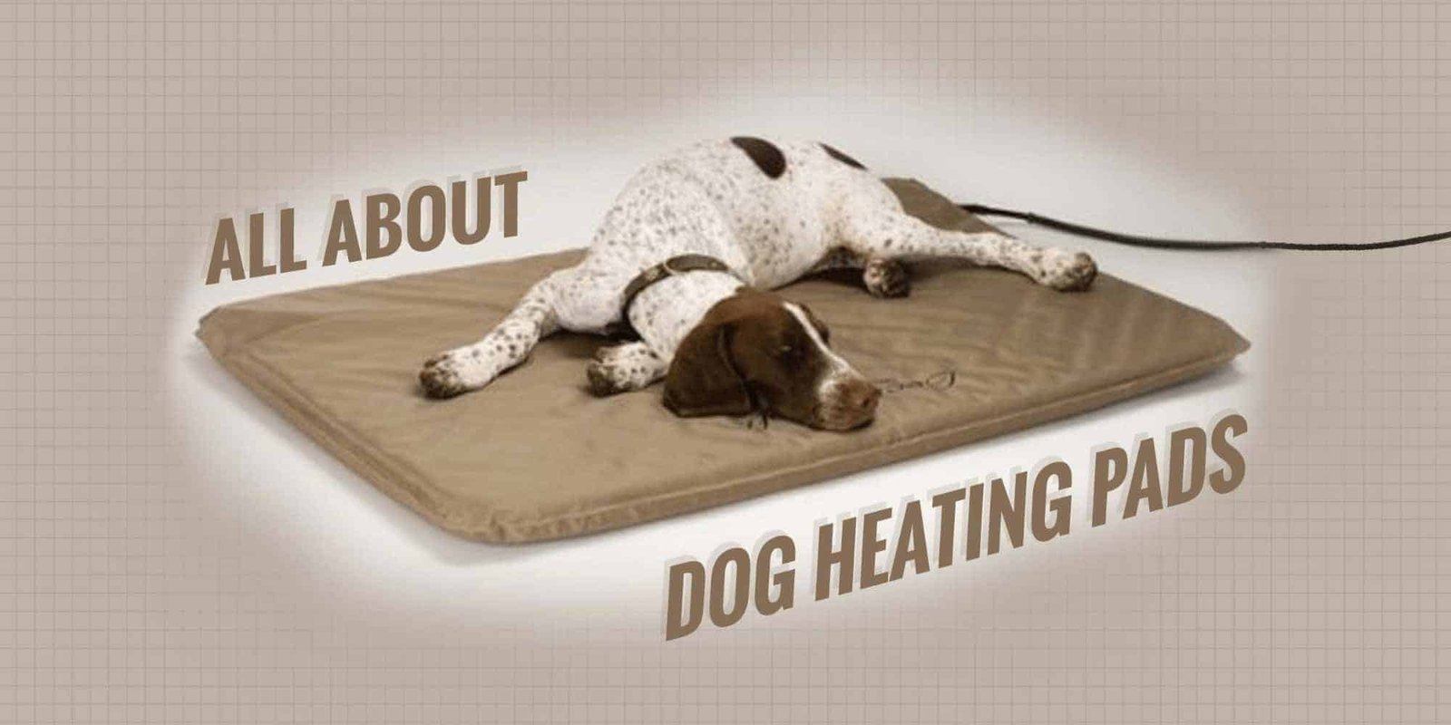 Keep Your Dog Warm With These Dog Heating Pads Dogs Best Stuff