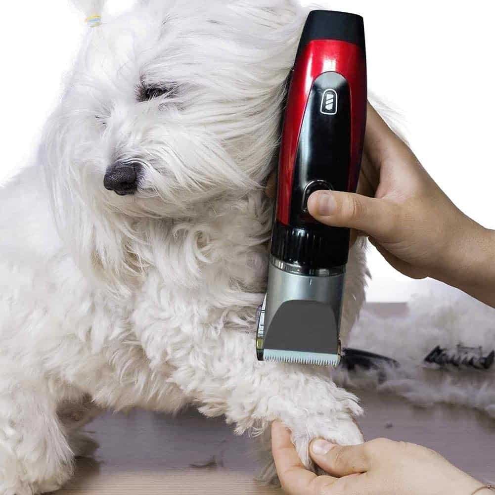 Hair Clippers for Dog
