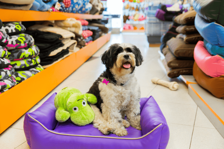 Choosing the Perfect Material for Your Dogs Bed