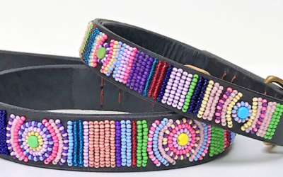 Stylish Beaded Collar for Dogs: Step by Step Guide
