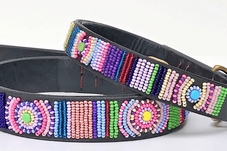 Stylish Beaded Collar for Dogs: Step by Step Guide