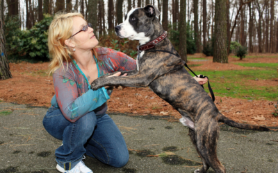 Pit Bull Trainers: Unleashing the Best in Your Furry Friend