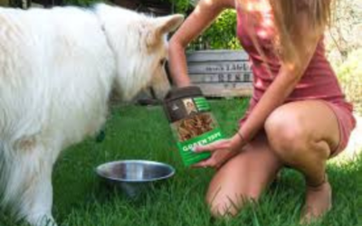 Top-Notch 5 Benefits of Green Tripe for Dogs – Complete Guide