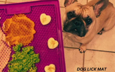 Dog Lick Mat Ideas: 10 Ways to Keep Your Canine Engaged
