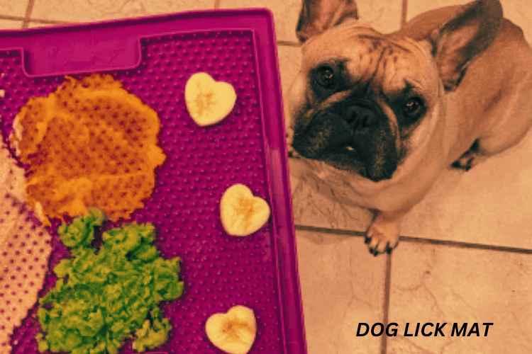 Dog Lick Mat Ideas: 10 Ways to Keep Your Canine Engaged